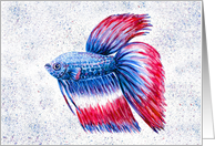 Siamese Betta Fish Red White Blue Watercolor Art Blank card