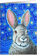 Colorful Easter Bunny Rabbit Starry Night Blue Sky Star Blank card