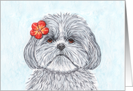 Shih Tzu Fluffy Dog Red Hibiscus Flower Art Watercolor Painting Blank card