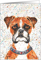 Boxer Dog Paint Splatter Colorful Watercolor Heart Abstract Painting card