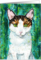 Calico Short Hair Kitten Feline Cat Blue Green Watercolor Painting Art card