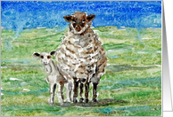 Sheep Lamb Farm Animal Baby Watercolor Painting Blank card