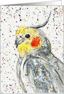 Abstract Gray Cockatiel Bird Watercolor Painting Blank card