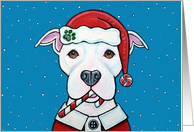 Christmas Santa White Pit Bull Terrier Dog Candy Cane Holiday card