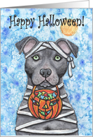 Happy Halloween Pit Bull Terrier Dog Mummy Pumpkin Treat Art Painting
