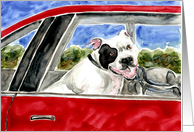 American Bull Dog in Red Car Painting card