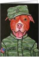American Pit Bull Dog Military Art card