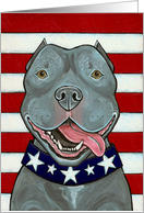 American Blue Nose Pit Bull Dog US Flag 4th of July card