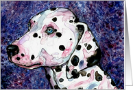 Dalmatian Blue Eyes Canine Dog Blank Card