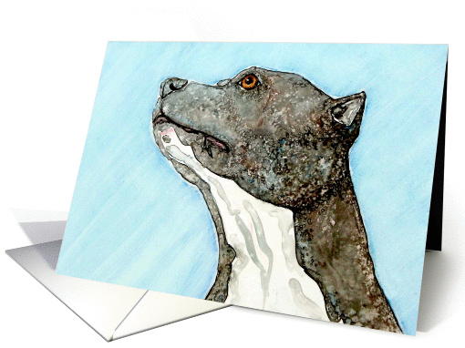 Blue Nose Pit Bull Terrier Canine Dog Blank Note card (931396)