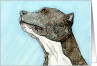 Blue Nose Pit Bull Terrier Canine Dog Blank Note Card