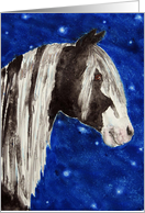 Black White Pinto Paint Gypsy Horse Painting Blank Note Card