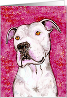 White American Pit Bull Terrier Dog Painting Blank Note Card