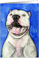 White American Pit Bull Terrier Dog Painting Blank Card