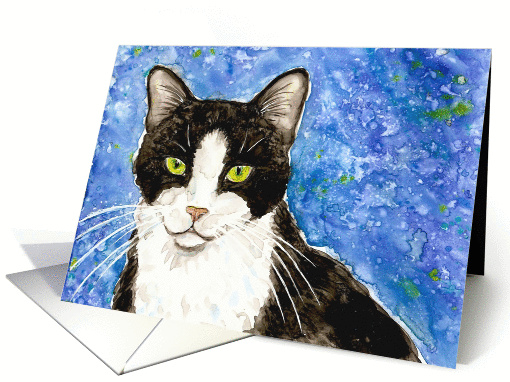 Black and White Tuxedo Cat Blank card (931415)