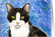 Black and White Tuxedo Cat Blank Card