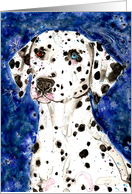Black and White Odd eyed Dalmatian Dog Painting Blank Card