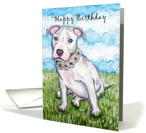 White Daisy Pit Bull Terrier Puppy Dog Happy Birthday card (933983)