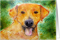 Yellow Labrador Dog Art Painting Blank Note Card