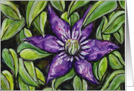 Purple Clematis Vine Flowers Blank Note Card