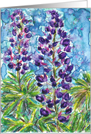 Get Well Floral Purple Lupine Flowers Watercolor card