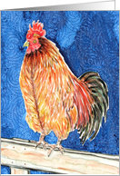 Rooster Chicken Fowl Farm Bird Animal Blank Note Card