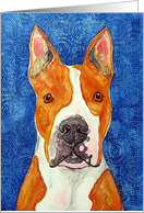 Yellow Pit Bull Terrier Ears Dog Blank Card
