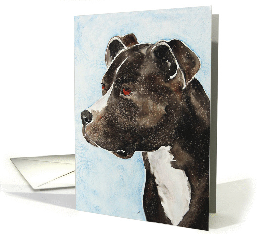 American Pit Bull Terrier Dog Portrait Blank card (939854)