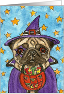 Halloween Witch Pug...