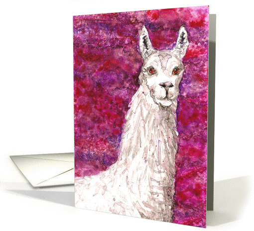 White Llama Farm Animal Pet Blank Note card (941280)