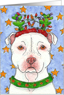 Christmas Reindeer American Pit bull Terrier Dog card