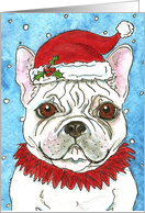Colorful Christmas Santa Hat French Bulldog Dog card