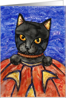 Happy Halloween Black Cat Jack-o-Lantern Pumpkin card