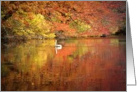Autumn Day in the Park, Blank Note Card