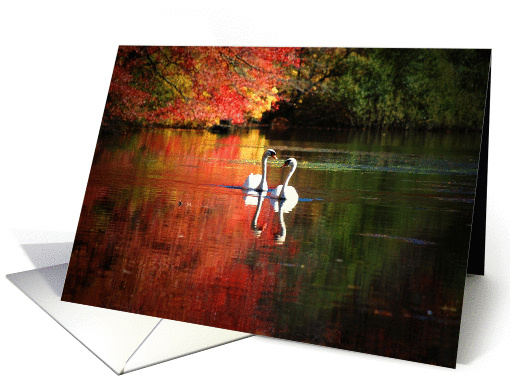 Swan Lake card (962425)