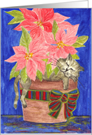 Happy Holidays, Cat Sleeping in Poinsettia card