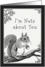 I’m Nuts about you Squirrel Card