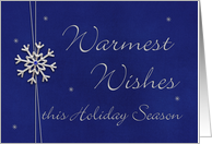 Warmest Wishes this Holiday Season card