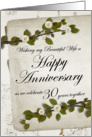 Wishing my Beautiful wife Happy Anniversary 30 years together card