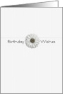 Birthday Wishes White Flower card