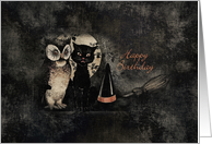 Happy Birthday Owl and Cat card