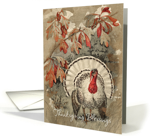 Vintage Thanksgiving Blessings Turkey card (951130)