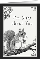 I’m Nuts about you Squirrel Card