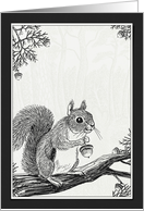 Squirrel Note Card