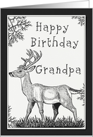 Happy Birthday Grandpa Deer Card