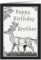 Happy Birthday Brother Deer Card