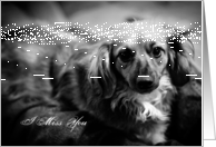I Miss You Dog Card
