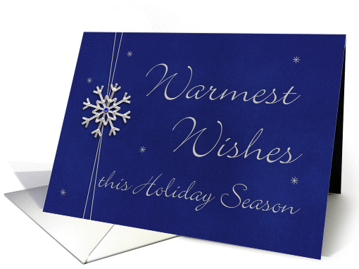 Warmest Wishes this Holiday Season card (954429)
