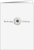 Birthday Wishes White Flower card