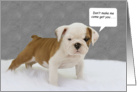 English Bulldog Puppy Birthday Card by Focus for a Cause. card